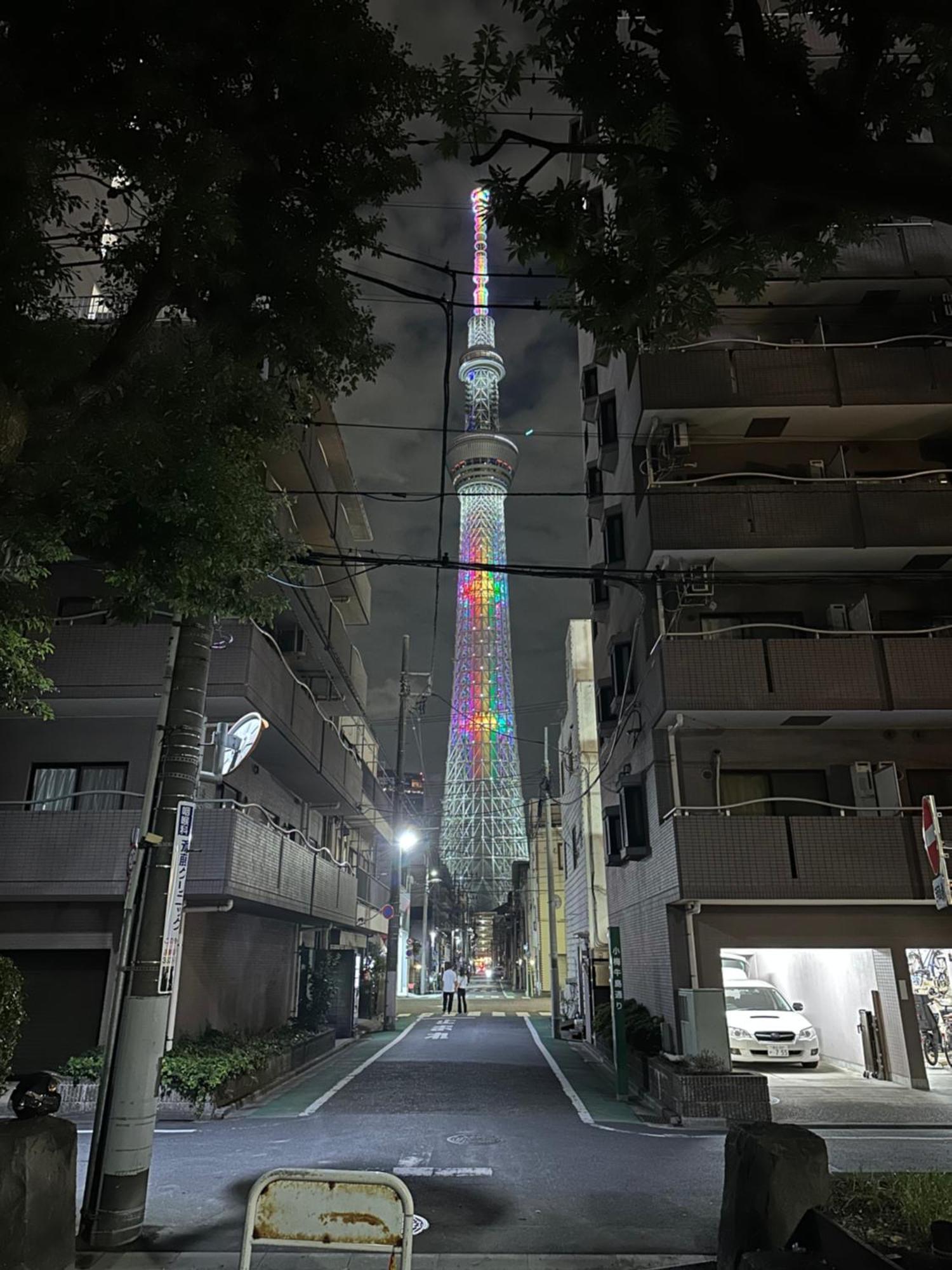 Wise Park Mukojima Apartment Tokyo Luaran gambar